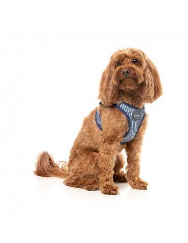 FuzzYard Thornbury Aegean Blue step-in dog harness with reflective strips