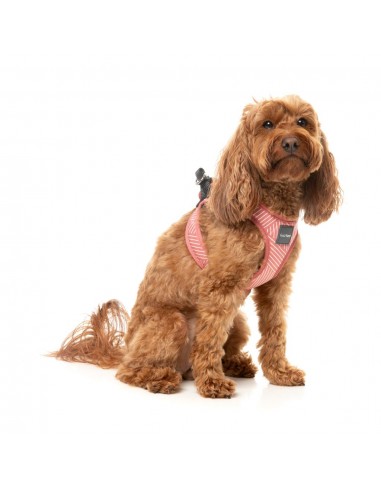 FuzzYard Thornbury Brick Red step-in dog harness with reflective strips