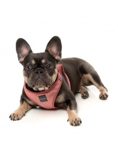 FuzzYard Thornbury Brick Red step-in dog harness with reflective strips