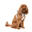 FuzzYard Yazd step-in dog harness with reflective strips