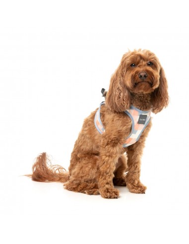 FuzzYard Yazd step-in dog harness with reflective strips