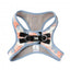 FuzzYard Yazd step-in dog harness with reflective strips