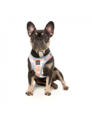 FuzzYard Yazd step-in dog harness with reflective strips