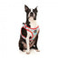 FuzzYard You Drive Me Glazy step-in dog harness with reflective strips