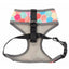 Breathable Lycra dog harness FuzzYard The Hive