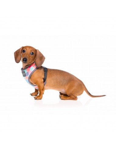 Breathable Lycra dog harness FuzzYard The Hive