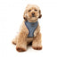 Breathable Lycra dog harness FuzzYard Thornbury Aegean Blue