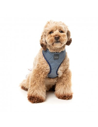 Breathable Lycra dog harness FuzzYard Thornbury Aegean Blue