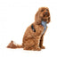 Breathable Lycra dog harness FuzzYard Thornbury Aegean Blue