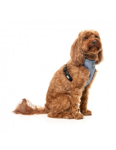 Breathable Lycra dog harness FuzzYard Thornbury Aegean Blue