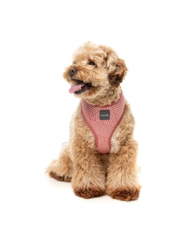 Breathable Lycra dog harness FuzzYard Thornbury Brick Red