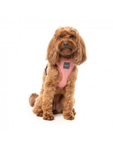 Breathable Lycra dog harness FuzzYard Thornbury Brick Red