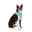 Breathable Lycra dog harness FuzzYard Wakey Wakey