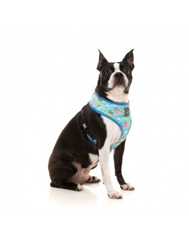 Breathable Lycra dog harness FuzzYard Wakey Wakey