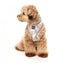 Breathable Lycra dog harness FuzzYard Yazd