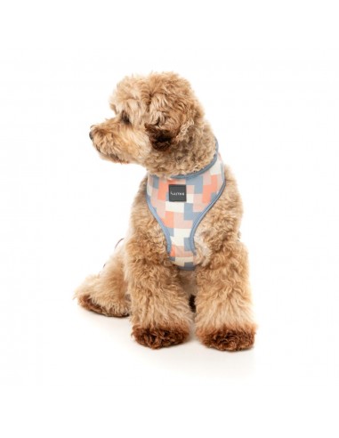 Breathable Lycra dog harness FuzzYard Yazd