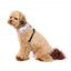 Breathable Lycra dog harness FuzzYard Yazd