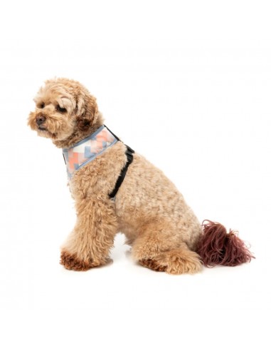 Breathable Lycra dog harness FuzzYard Yazd