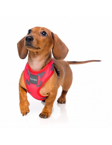 Breathable Lycra dog harness FuzzYard Yeezy El Fuego, size XL