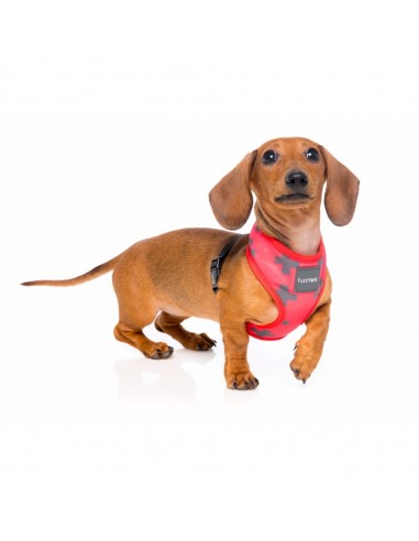 Breathable Lycra dog harness FuzzYard Yeezy El Fuego, size XL
