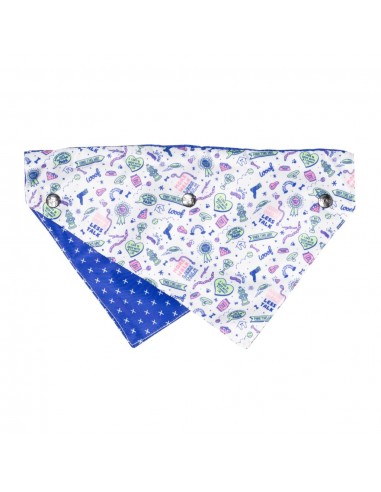 FuzzYard Best In Show reversible dog bandana