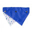 FuzzYard Best In Show reversible dog bandana
