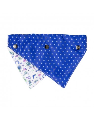 FuzzYard Best In Show reversible dog bandana