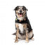 FuzzYard Rep It Ranger Dog Gilet with Velcro Fastening