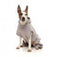 FuzzYard Urban Cotton Dog Hoodie, Light Grey
