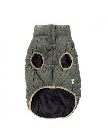 Padded dog coat FuzzYard Mosman in khaki with corduroy collar