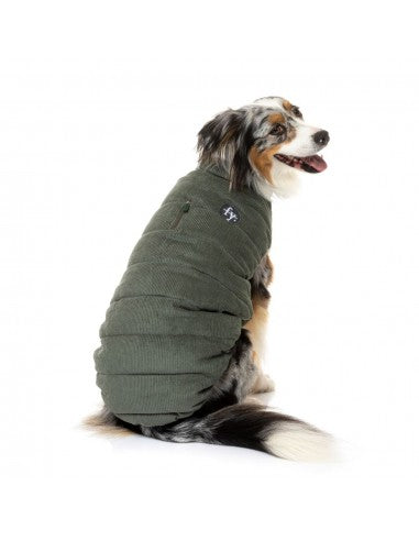 Padded dog coat FuzzYard Mosman in khaki with corduroy collar
