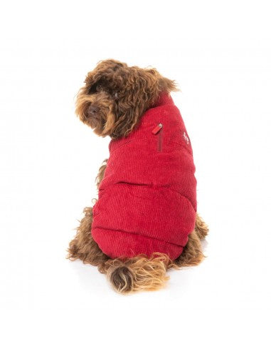 Padded dog coat FuzzYard Mosman in red with corduroy collar