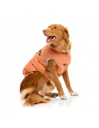 Cotton padded dog coat FuzzYard Ashbury in peach