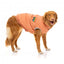 Cotton padded dog coat FuzzYard Ashbury in peach