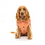Cotton padded dog coat FuzzYard Ashbury in peach