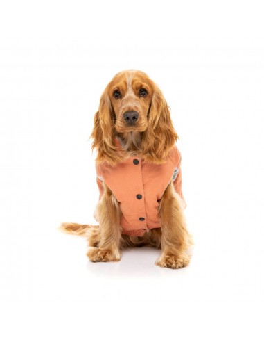 Cotton padded dog coat FuzzYard Ashbury in peach