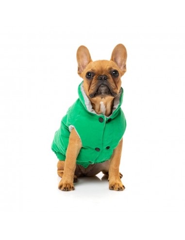 Cotton padded dog coat FuzzYard Ashbury in green
