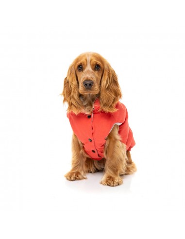 Cotton padded dog coat FuzzYard Ashbury in vintage red