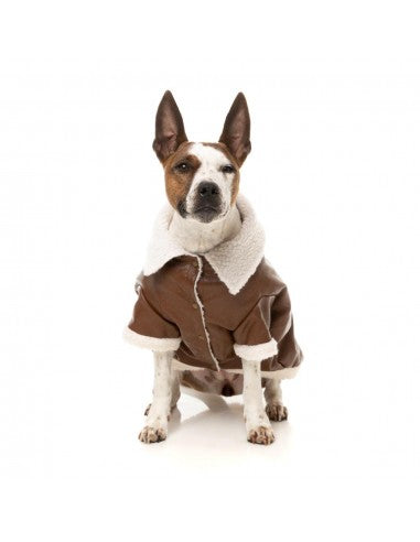 FuzzYard Ava dog aviator jacket in brown