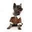 FuzzYard Ava dog aviator jacket in brown