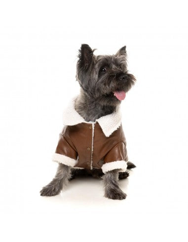 FuzzYard Ava dog aviator jacket in brown