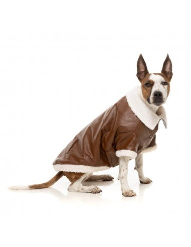 FuzzYard Ava dog aviator jacket in brown