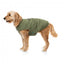 FuzzYard padded dog bomber jacket in khaki green