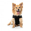 FuzzYard padded dog bomber jacket in black