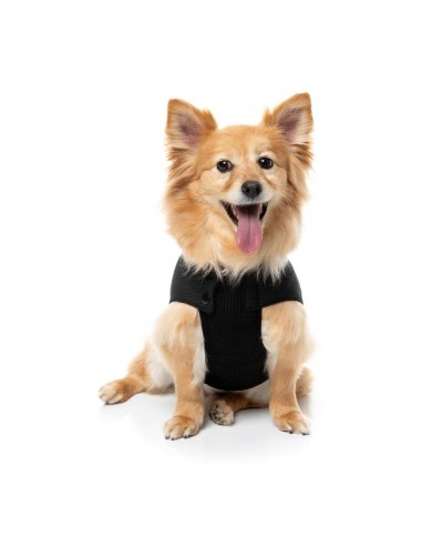 FuzzYard padded dog bomber jacket in black