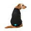 FuzzYard padded dog bomber jacket in black