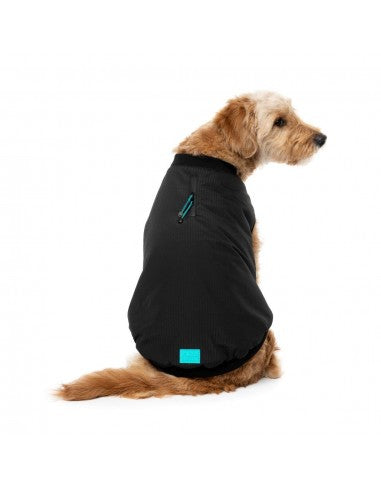 FuzzYard padded dog bomber jacket in black
