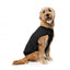 FuzzYard padded dog bomber jacket in black