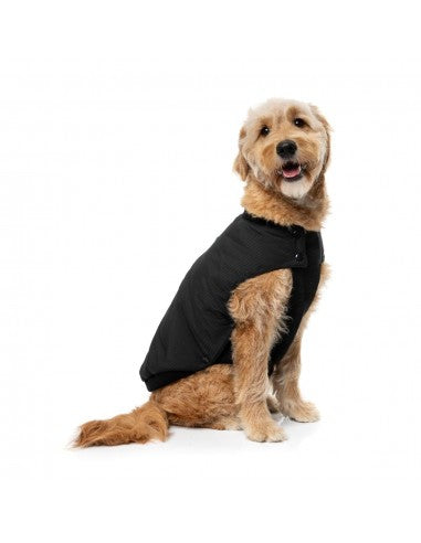 FuzzYard padded dog bomber jacket in black