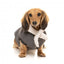 Dog bomber jacket FuzzYard Nordic in charcoal with removable scarf